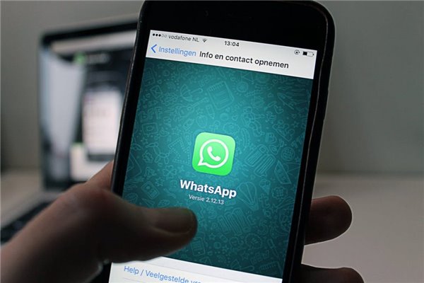包含whatsappcontacts的词条
