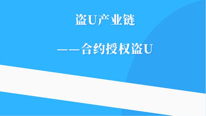 token授权USDT，token授权后如何查看