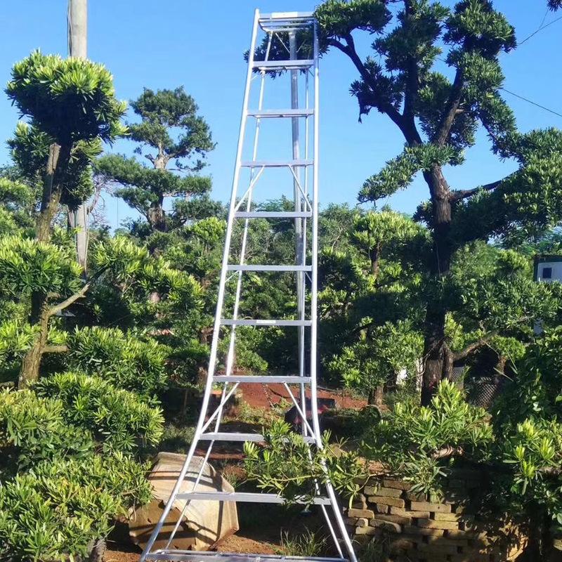 果树专用梯子，果树专用梯子图片大全