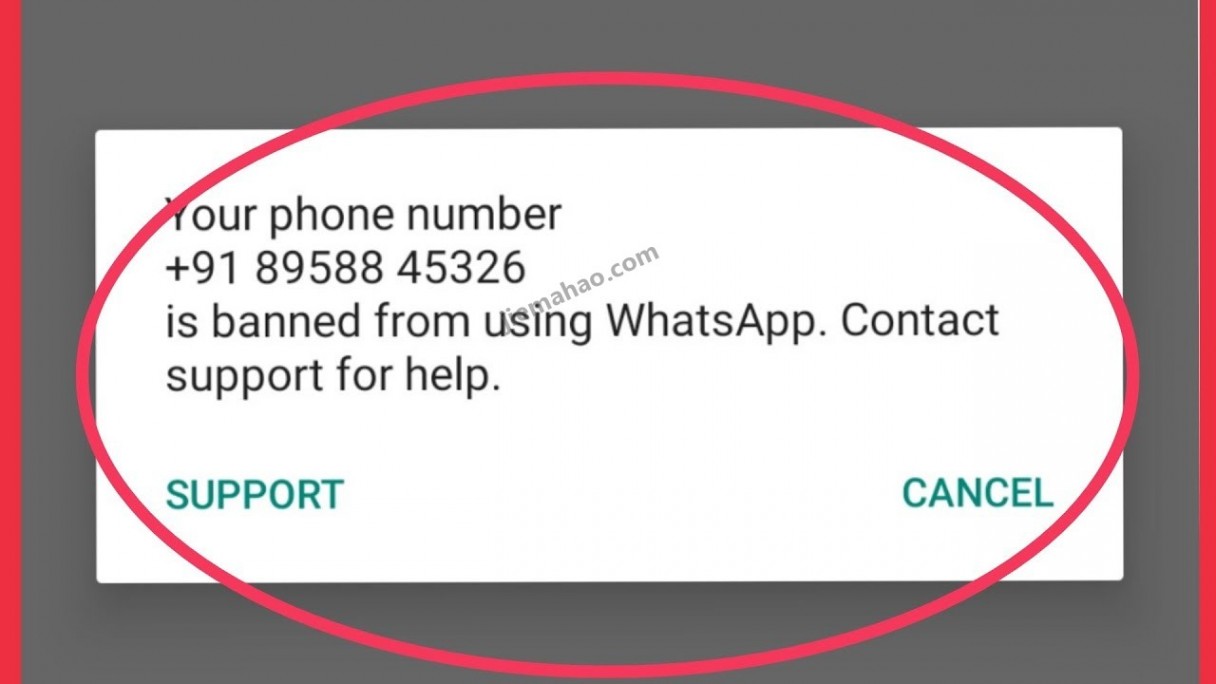 whatsapp国内能不能用，whatsapp 中国能不能用