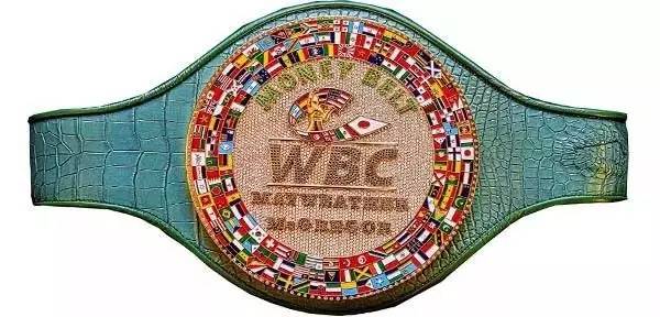 wbc币在中国合法吗的简单介绍