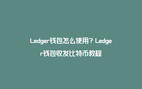 ledger钱包可以提现有哪些，ledger钱包所有币都可以存吗