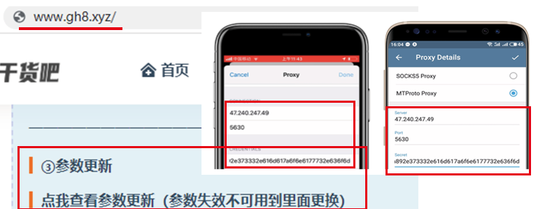 telegeram国内怎么用不了，telegeram短信验证解决办法