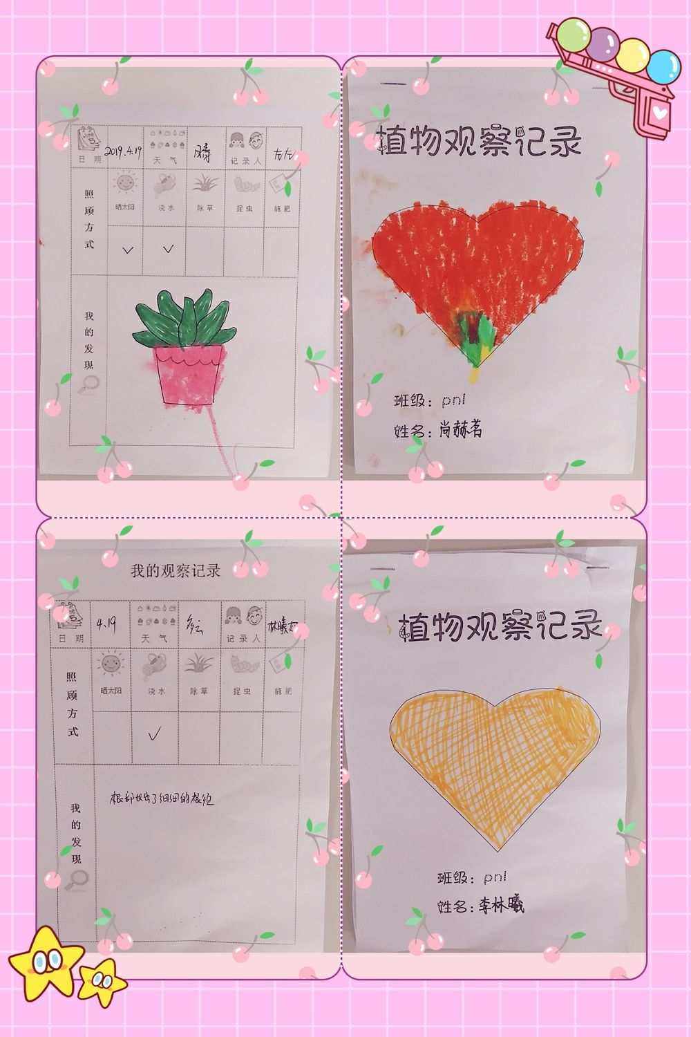 安吉梯子观察记录，安吉木梯的观察记录反思