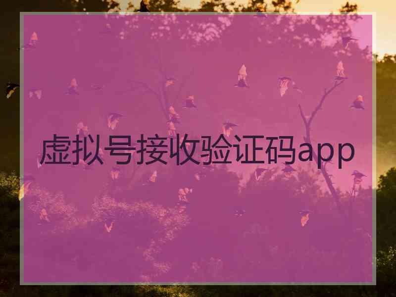 海外验证码接收平台，海外验证码接收平台是什么