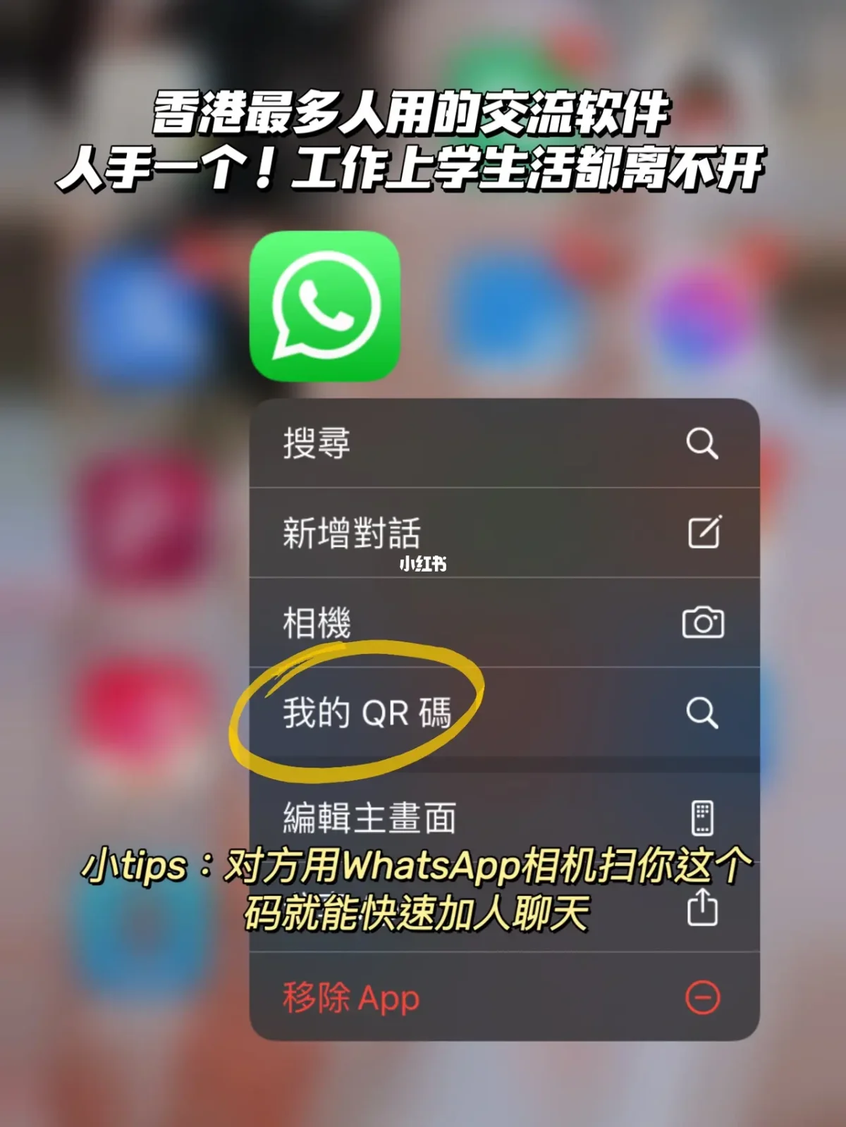 安卓版whatsapp怎么加人，安卓版本whatsapp怎么加人