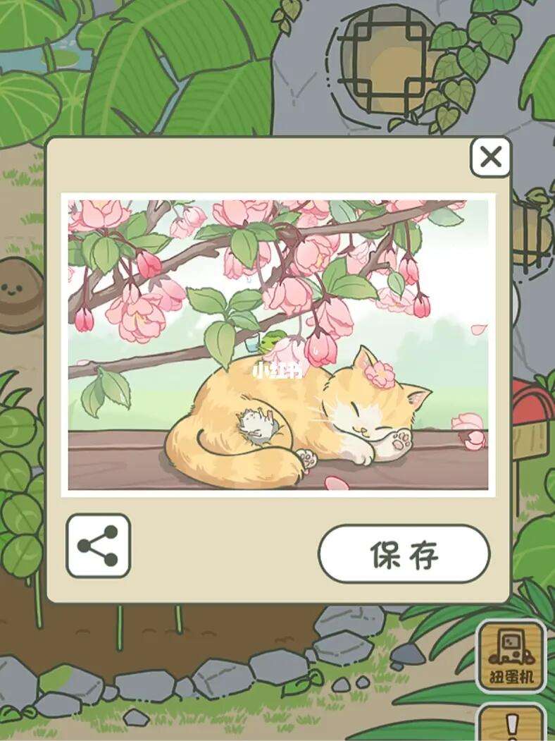 梯子ssr，梯子SSRR