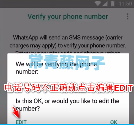 whatsapp安卓版下载2024，whatsapp安卓版下载2022最新
