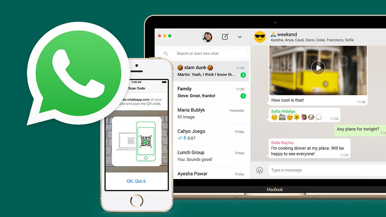 whatsappandroid4.4.2，fmwhatsappdownloadapk