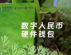 tp钱包客服能找到被盗的u吗的简单介绍