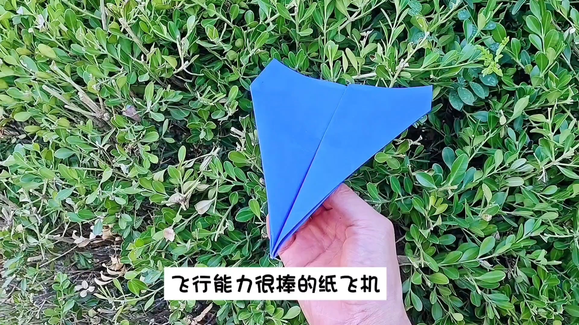 纸飞机纪录片在线观看,纸飞机纪录片在线观看带字幕