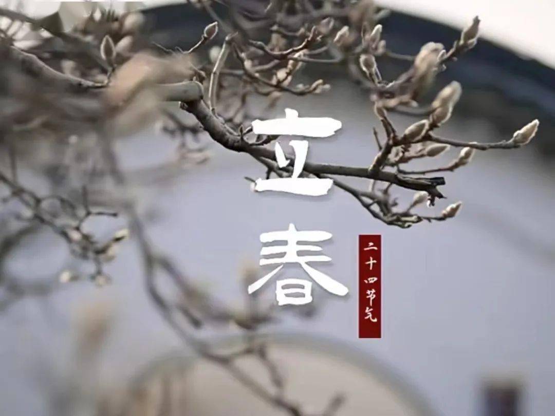 立春打一生肖是什么动物,立春打一生肖是什么动物是鼠