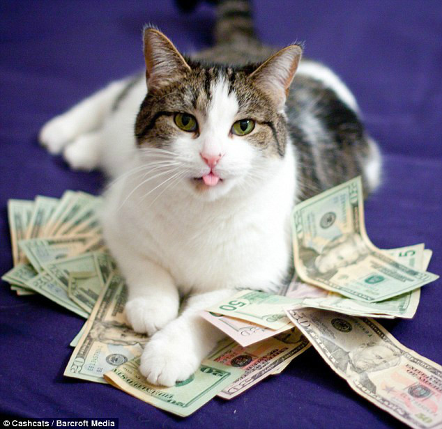 欲钱买非常神秘的动物,欲钱买神出鬼没的动物猜一生肖