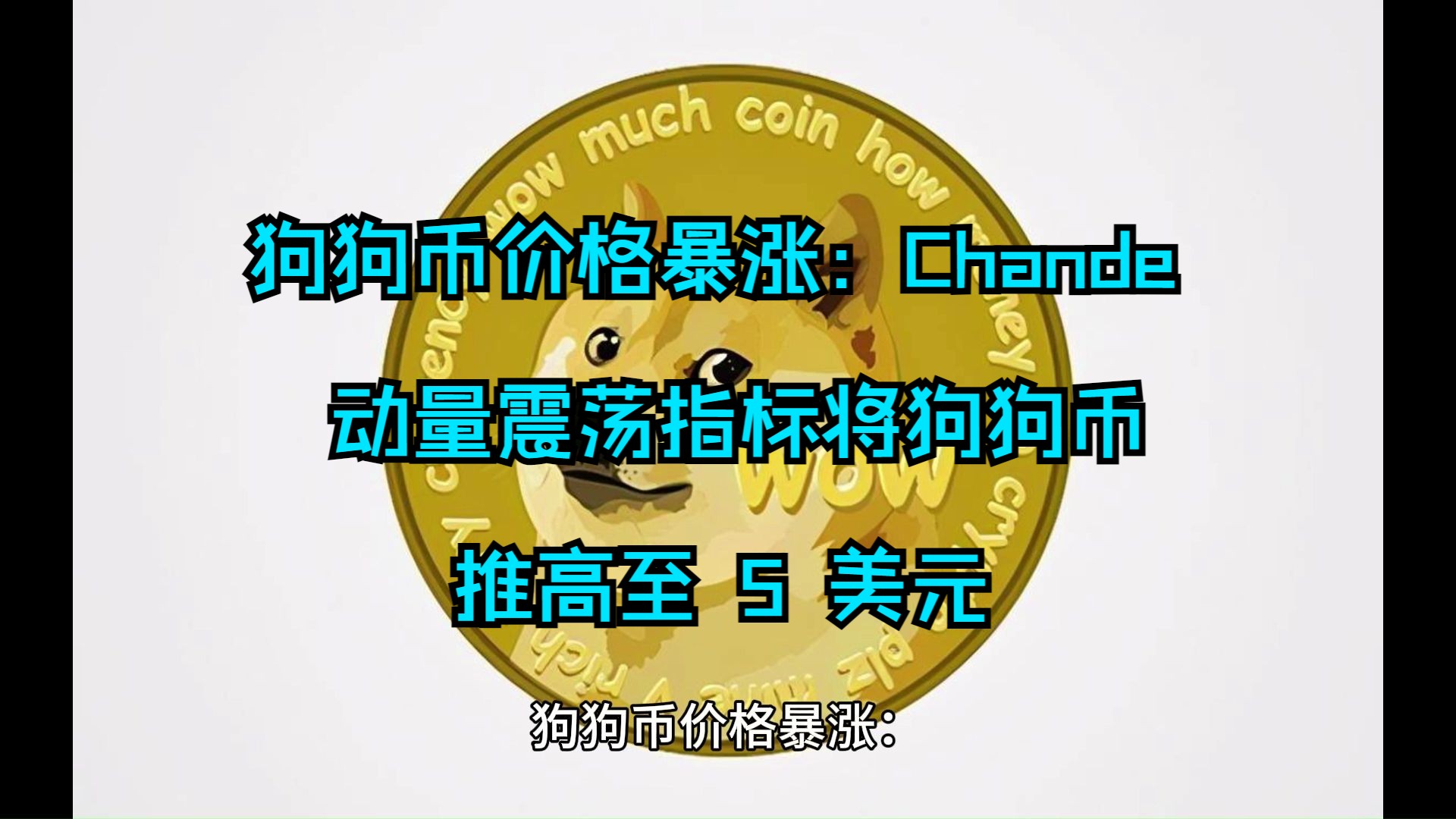 狗狗币还有前途吗,狗狗币有没有暴涨的机会