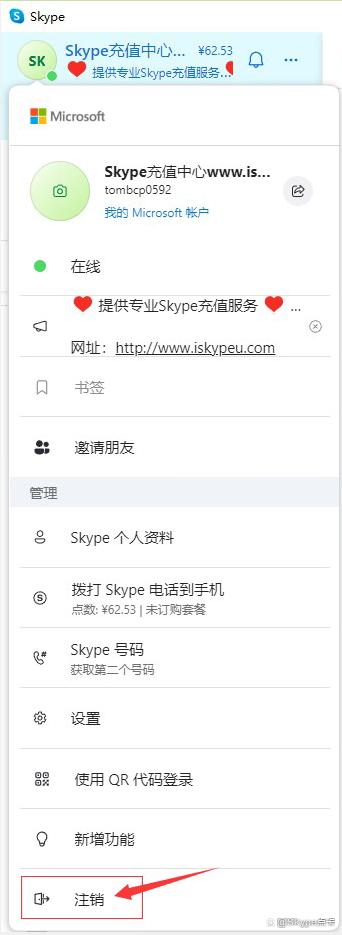 关于skype什么意思翻译在线的信息