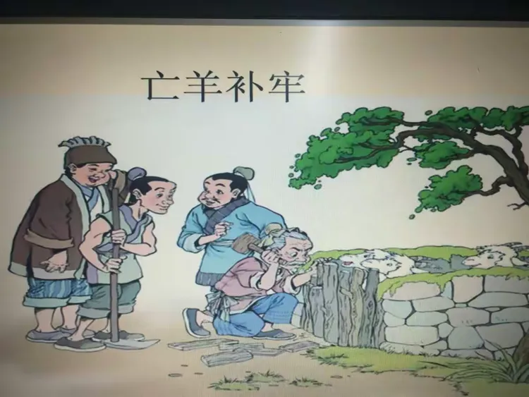 亡羊补牢也能发猜一肖,亡羊补牢也能发是什么意思