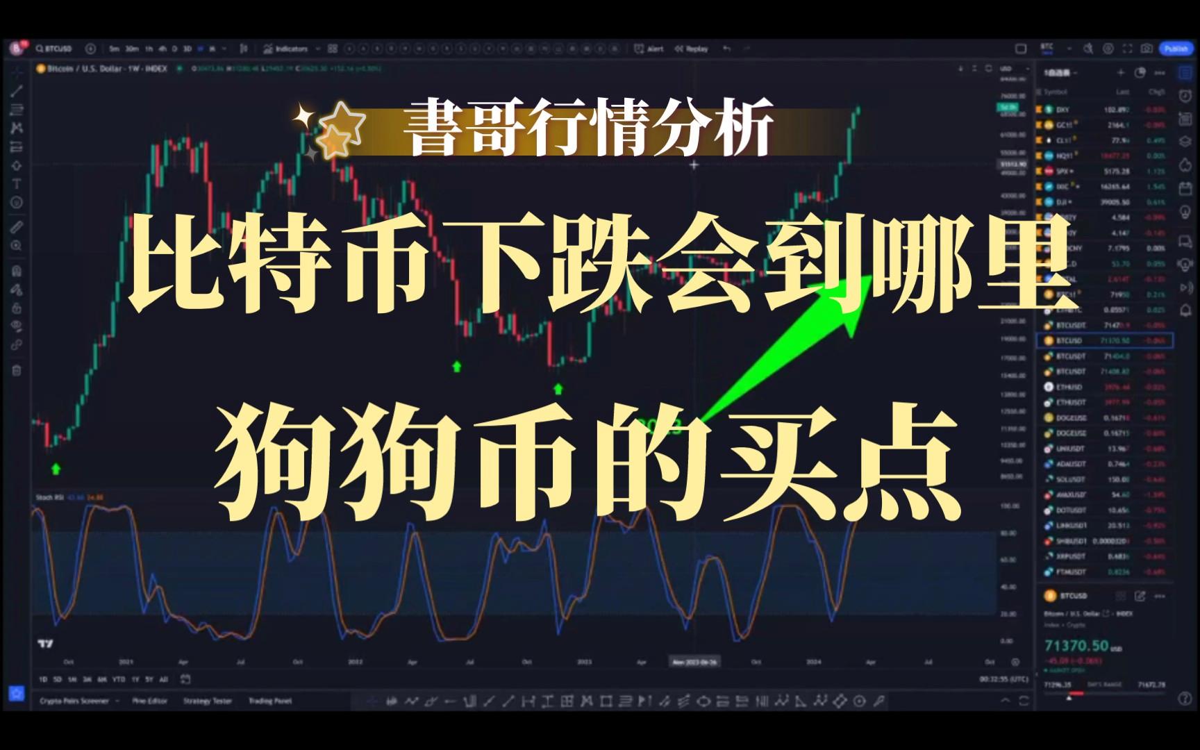 狗狗币开始暴跌了,狗狗币2025会涨到多少