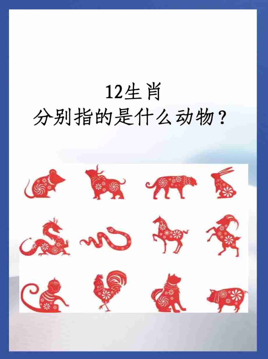 6合玄机是什么生肖的动物,6合玄机是什么生肖的动物呢