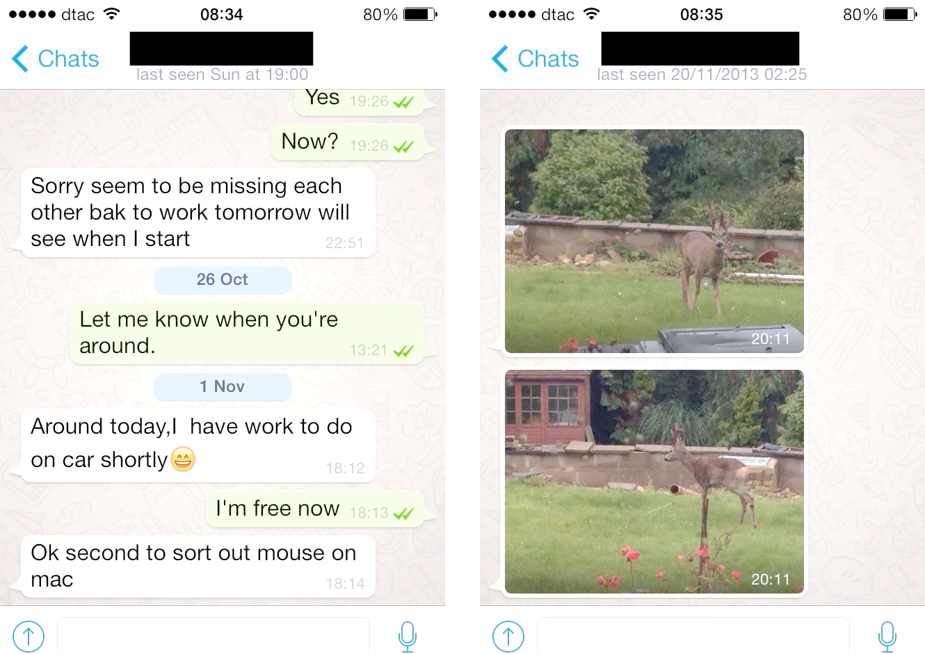whatsapp的读法,whatsapp有翻译器吗