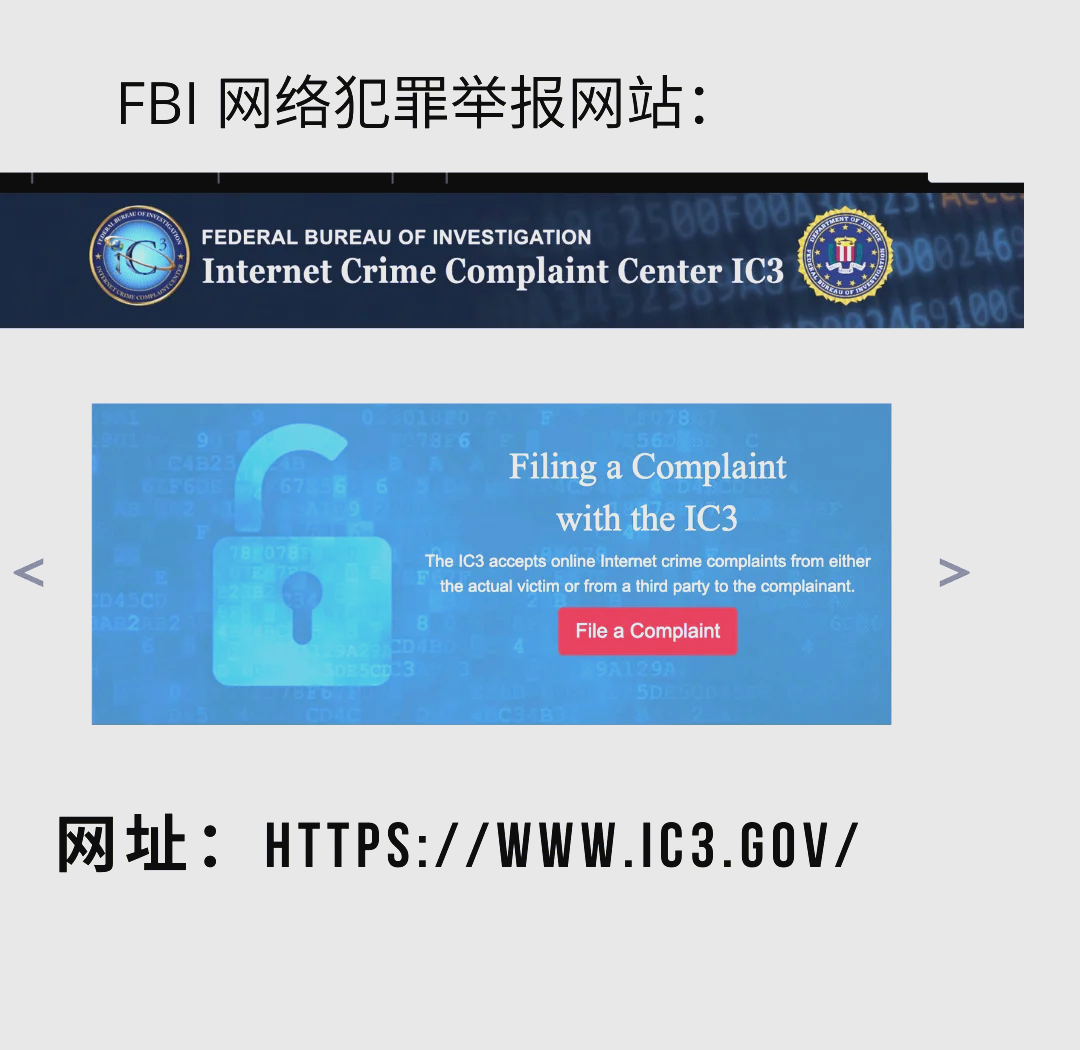 虚拟币被骗网上如何报案,虚拟币被骗网上如何报案呢