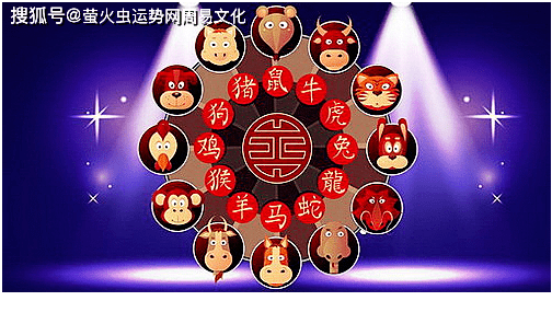 二五加打生肖,二五加是什么数字