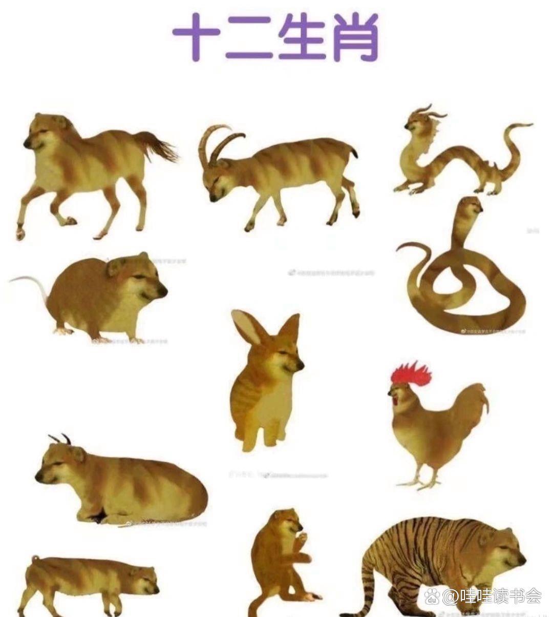 十二生肖谁最铁面无私,十二生肖谁最铁面无私铁面无私天下间是什么意思
