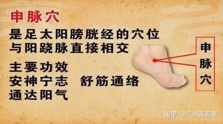 十八妙穴的祥细资料,十八妙龄二三开猜生肖