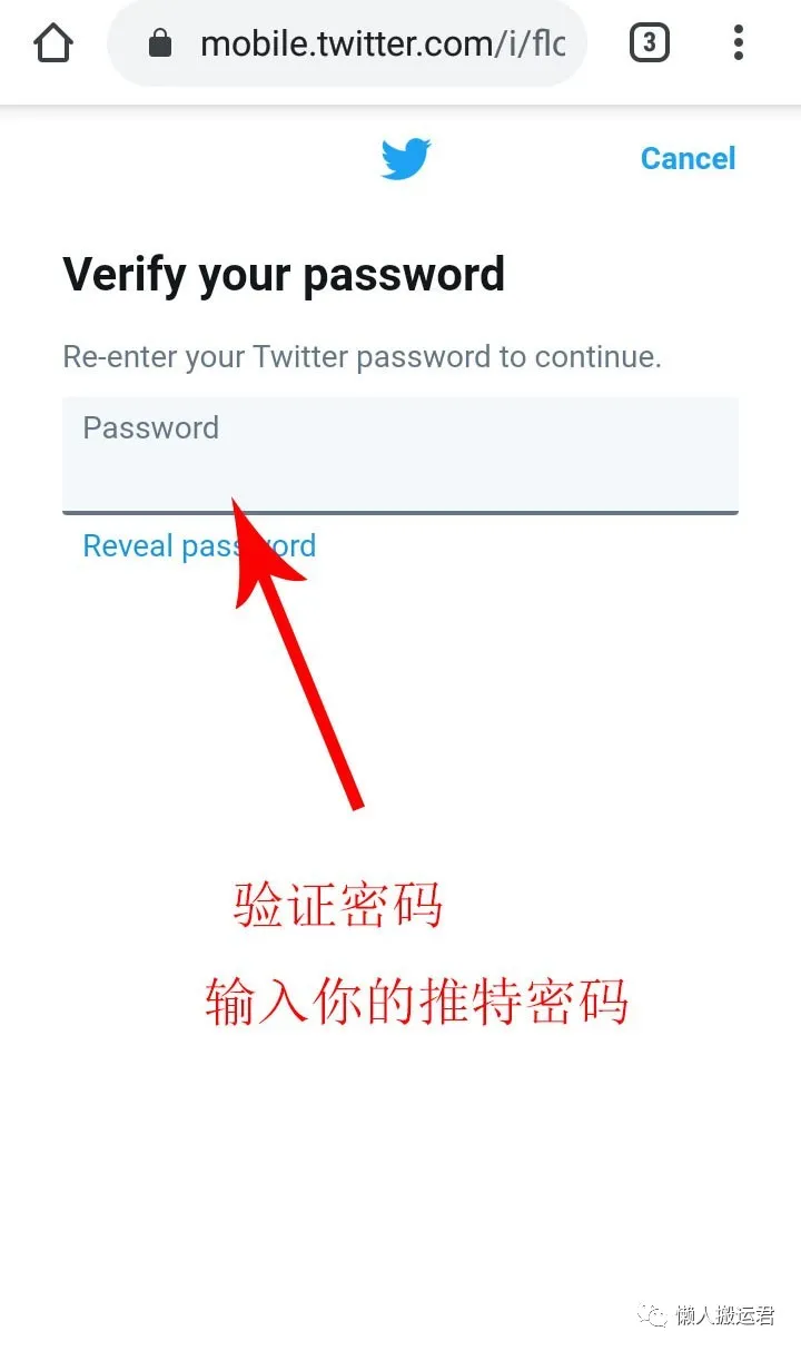 telegram网页登录,telegram邮箱登录入口