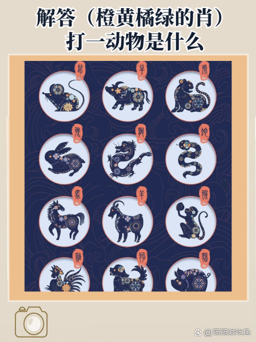 最佳答案是什么生肖动物,最佳答案是什么生肖动物的