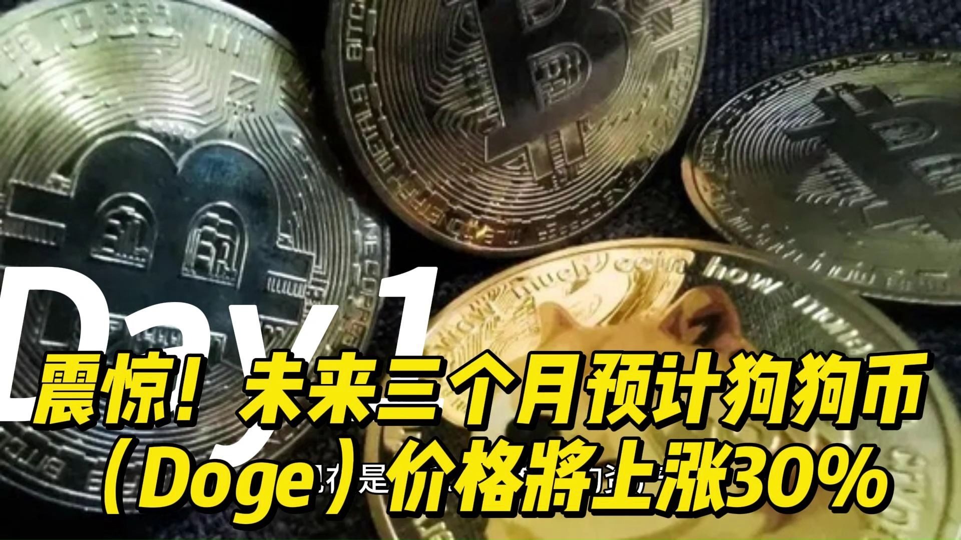 狗狗币今日最新价格,狗狗币今日最新价格24小时
