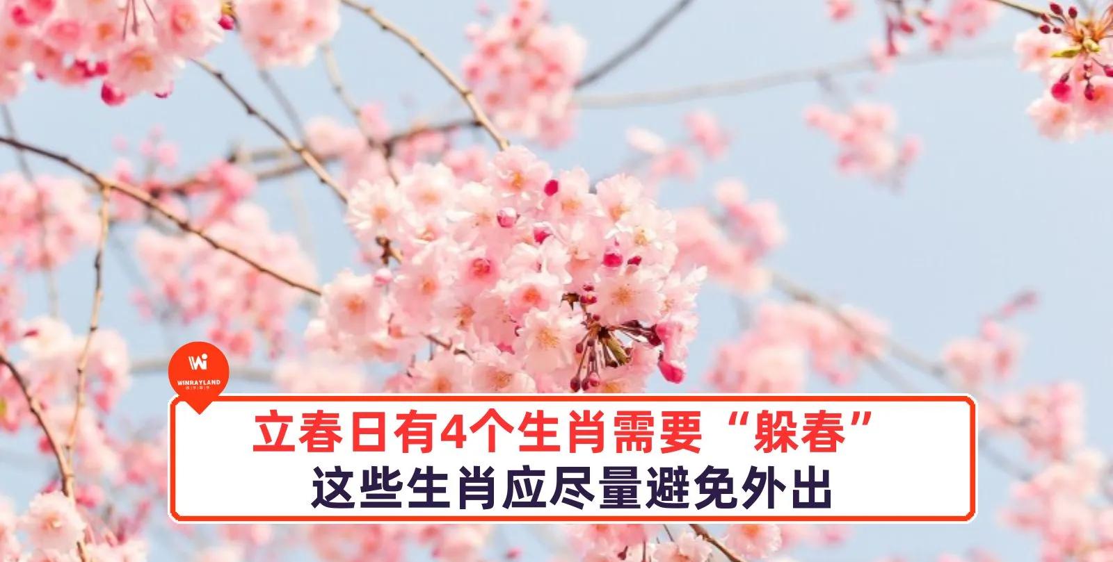 立春打一准确生肖,100%最准的一肖