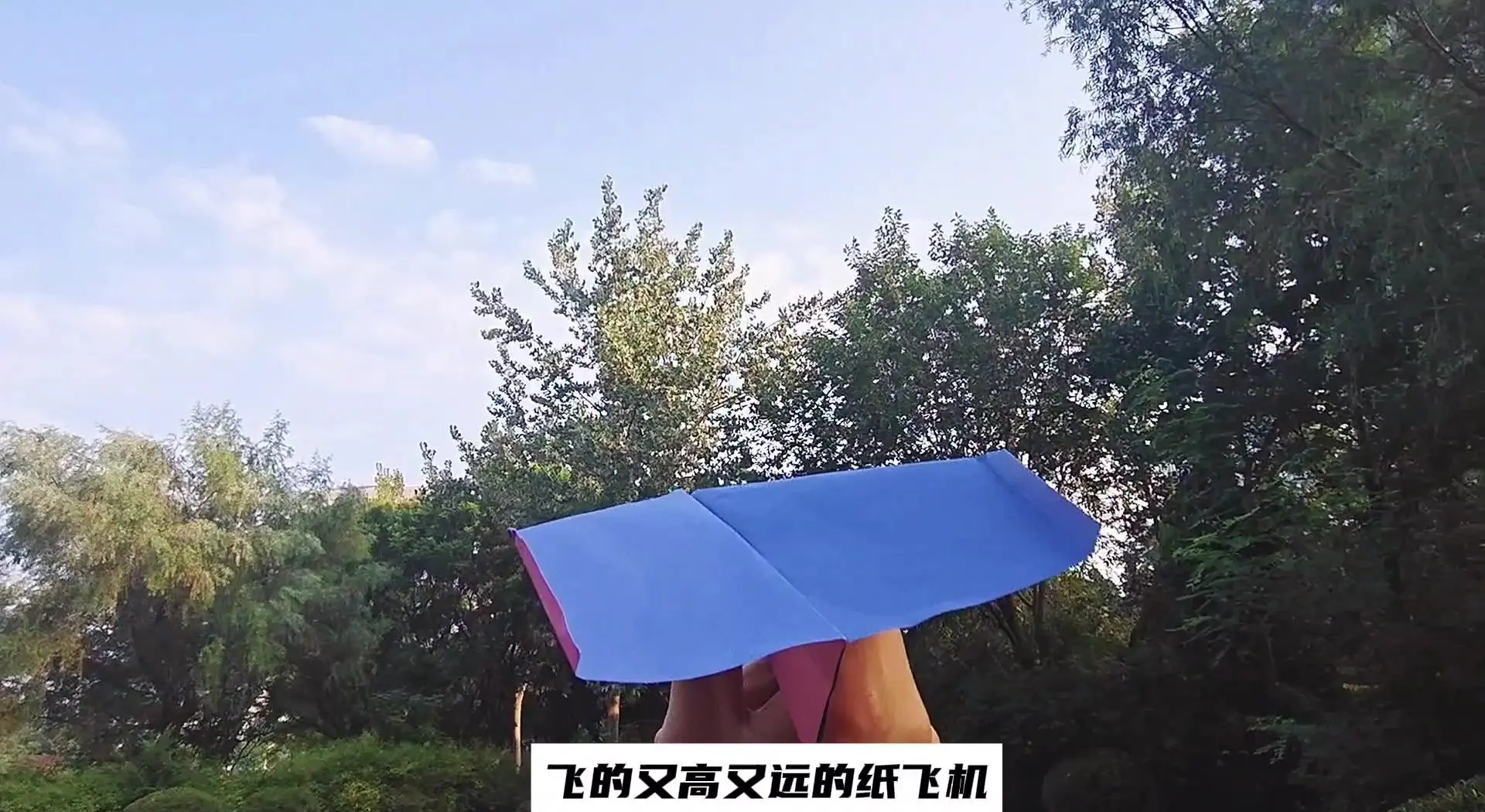 纸飞机视频怎么下到本地,纸飞机怎么下载中文安装包