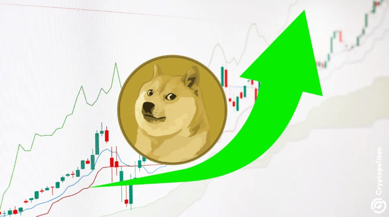 狗狗币今日实情,狗狗币今日实时价格
