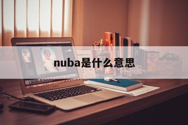 nuba是什么意思_网络nub是什么意思