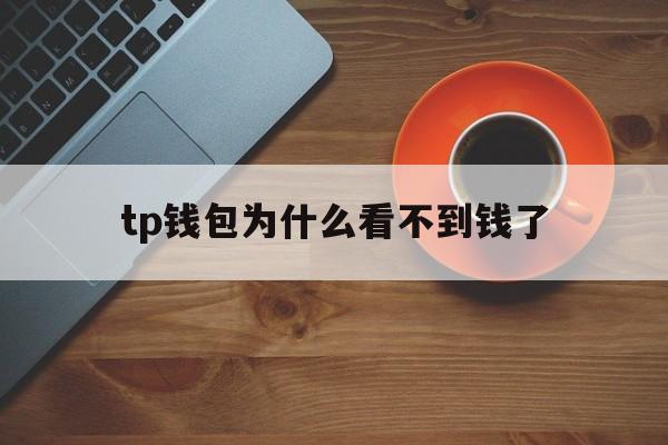 tp钱包为什么看不到钱了、tp钱包新上的币看不到金额