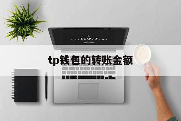 tp钱包的转账金额、tp钱包转账余额不足